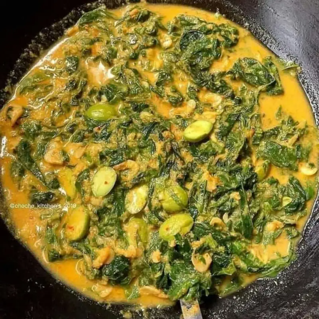 Tutorial Memasak Berbagai Makanan dari Daun Singkong