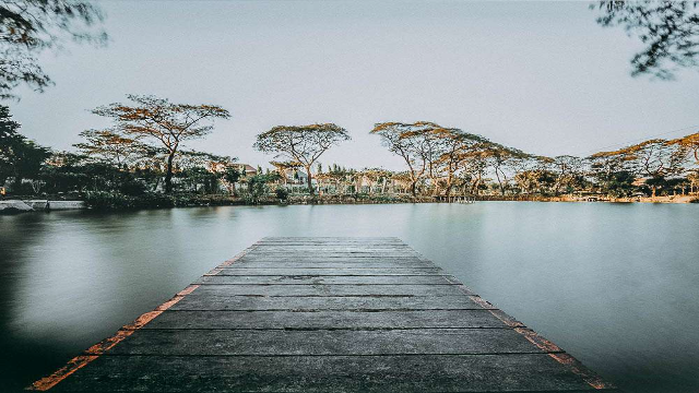 Keindahan Kebun Bibit Wonorejo Surabaya